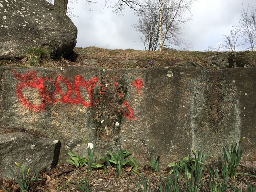 Graffiti vallilan kallioissa ja sen edessä versovat narsissit.