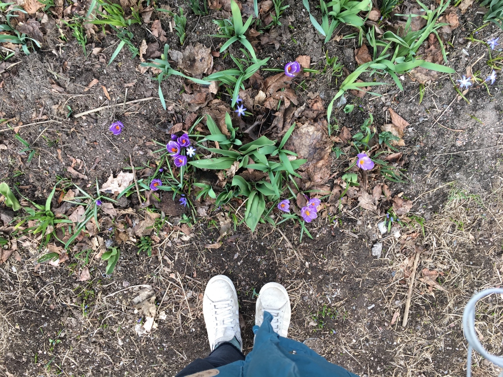 kuva jaloista keväisellä maalla